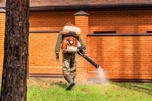 Trusted Mosquito Control service in Fair Oaks, GA - Nex Pest Control